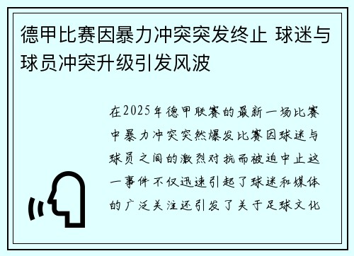 德甲比赛因暴力冲突突发终止 球迷与球员冲突升级引发风波