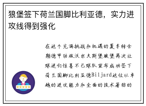 狼堡签下荷兰国脚比利亚德，实力进攻线得到强化